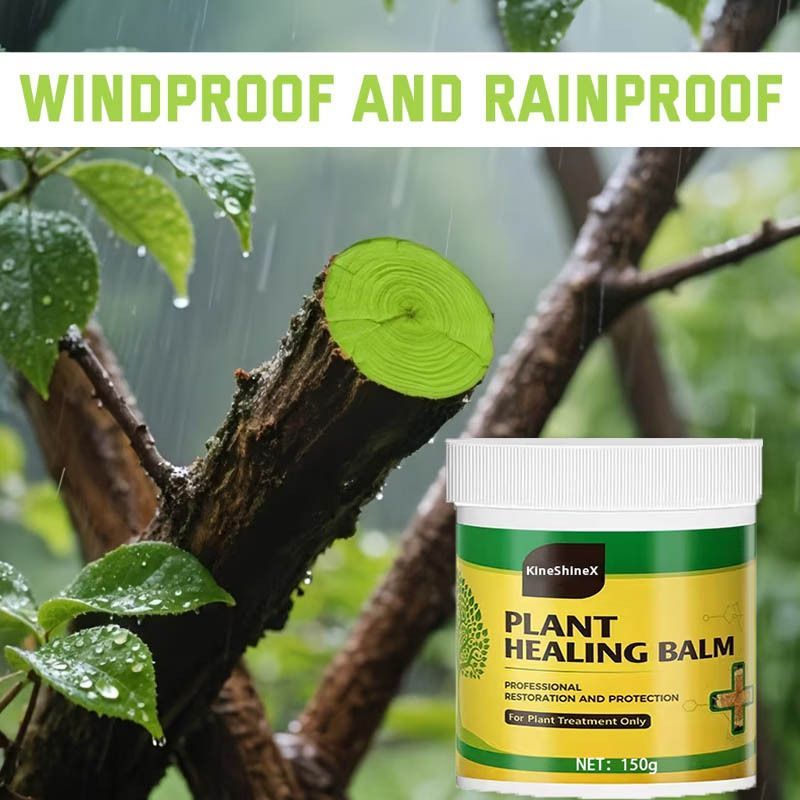 1Pack Tree Wound Sealer & Dressing, 150g Tree Pruning Sealer for Cut, Damaged Bark, Grafting – Effective Tree Repair Sealant for Shrub, Bonsai, Rose, Orchard Horticulture Grade Seal Formula - Green - Size 1Pack