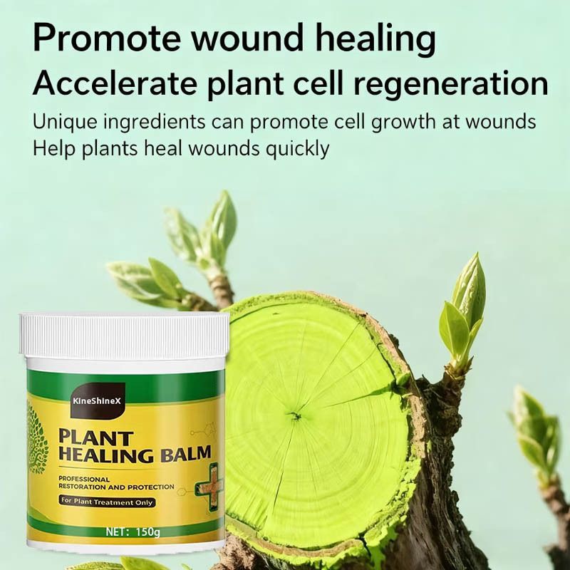 1Pack Tree Wound Sealer & Dressing, 150g Tree Pruning Sealer for Cut, Damaged Bark, Grafting – Effective Tree Repair Sealant for Shrub, Bonsai, Rose, Orchard Horticulture Grade Seal Formula - Green - Size 1Pack