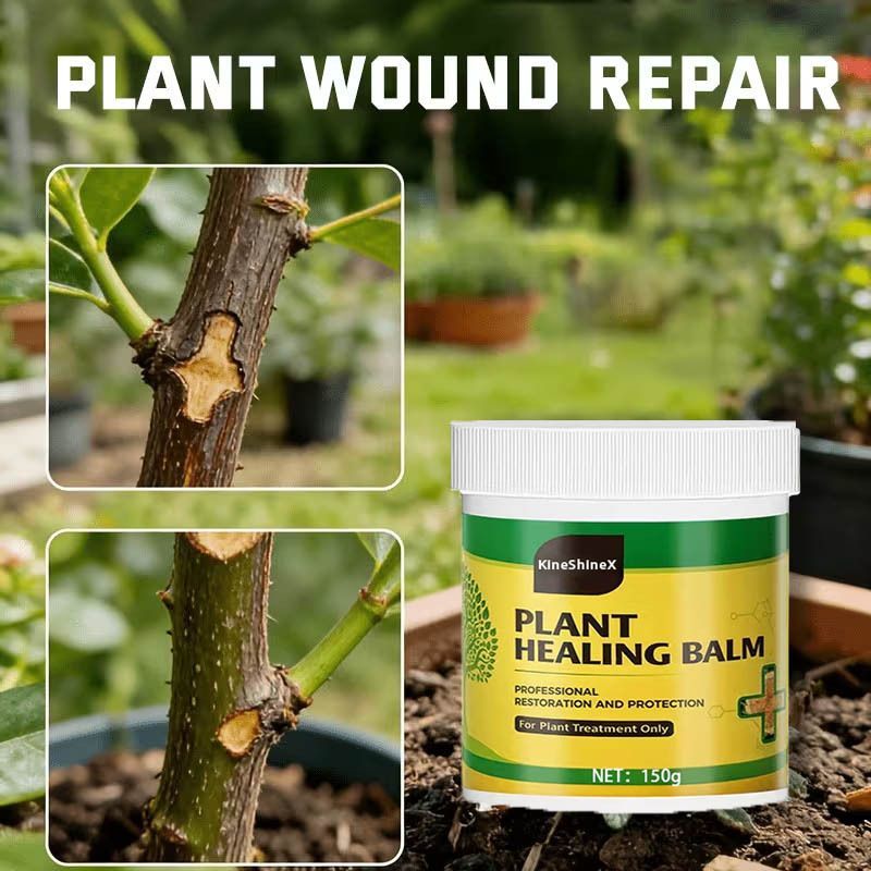 1Pack Tree Wound Sealer & Dressing, 150g Tree Pruning Sealer for Cut, Damaged Bark, Grafting – Effective Tree Repair Sealant for Shrub, Bonsai, Rose, Orchard Horticulture Grade Seal Formula - Green - Size 1Pack