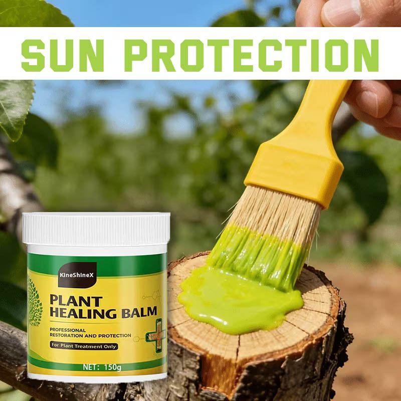 1Pack Tree Wound Sealer & Dressing, 150g Tree Pruning Sealer for Cut, Damaged Bark, Grafting – Effective Tree Repair Sealant for Shrub, Bonsai, Rose, Orchard Horticulture Grade Seal Formula - Green - Size 1Pack