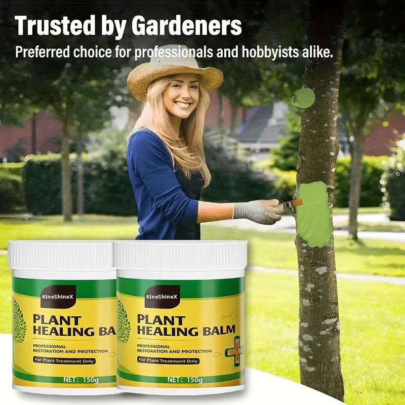 3Pack Tree Wound Sealer & Dressing, 150g Tree Pruning Sealer for Cut, Damaged Bark, Grafting – Effective Tree Repair Sealant for Shrub, Bonsai, Rose, Orchard Horticulture Grade Seal Formula - Green - Size 3Pack