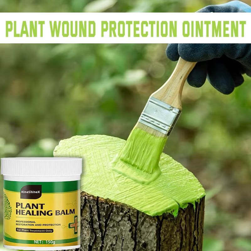 3Pack Tree Wound Sealer & Dressing, 150g Tree Pruning Sealer for Cut, Damaged Bark, Grafting – Effective Tree Repair Sealant for Shrub, Bonsai, Rose, Orchard Horticulture Grade Seal Formula - Green - Size 3Pack