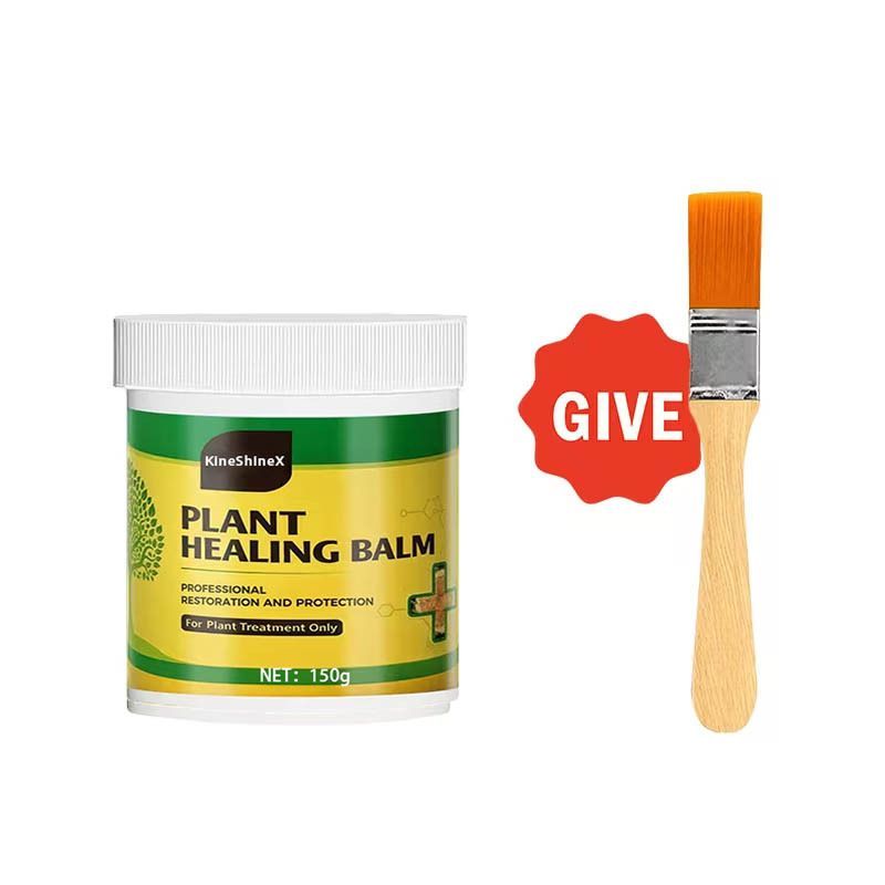 3Pack Tree Wound Sealer & Dressing, 150g Tree Pruning Sealer for Cut, Damaged Bark, Grafting – Effective Tree Repair Sealant for Shrub, Bonsai, Rose, Orchard Horticulture Grade Seal Formula - Green - Size 3Pack