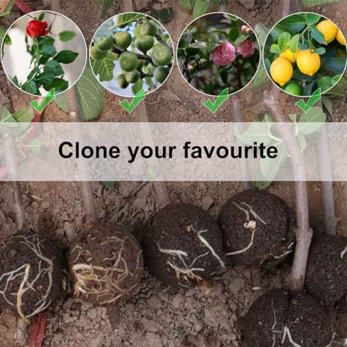 10 PCS Air Layering Propagation Kit with Zip Ties, Reusable Half Transparent Grafting Ball, Air Layering Pods Clear, Plant Rooting Grafting Box for Fast Propagation Plants (Medium)