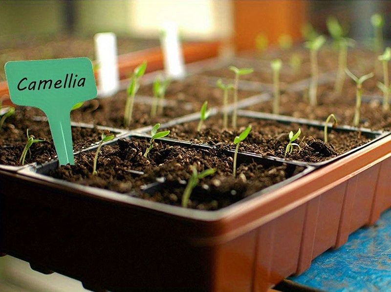 Multi-Cell Seedling Transplanter for Batch Planting-Silver