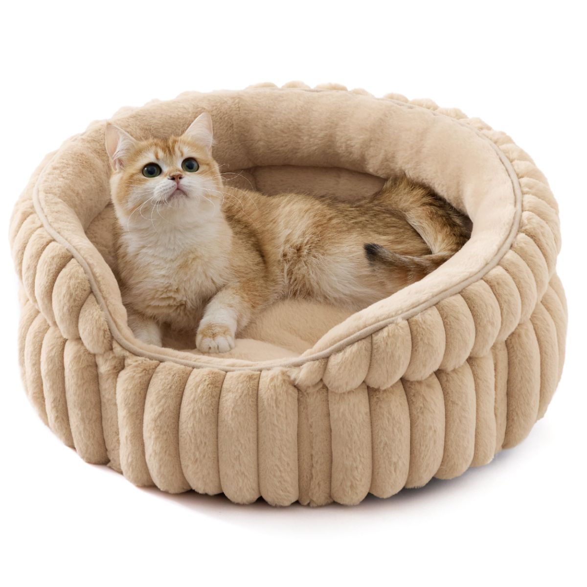 Cat Bed Plush Cat Bed Round Cat Bed Cat Furniture Cat Comfort Pet Supplies - Beige / 23in