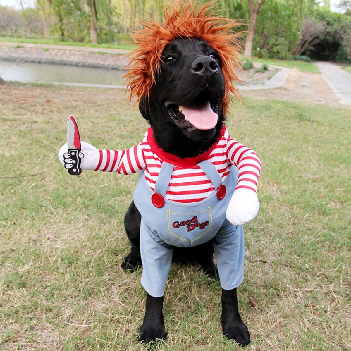 Pet Deadly Doll Dog Costume, Cosplay Halloween Christmas Funny Clothes Party Costume for Small Medium and Large Dogs - Blue - Size L