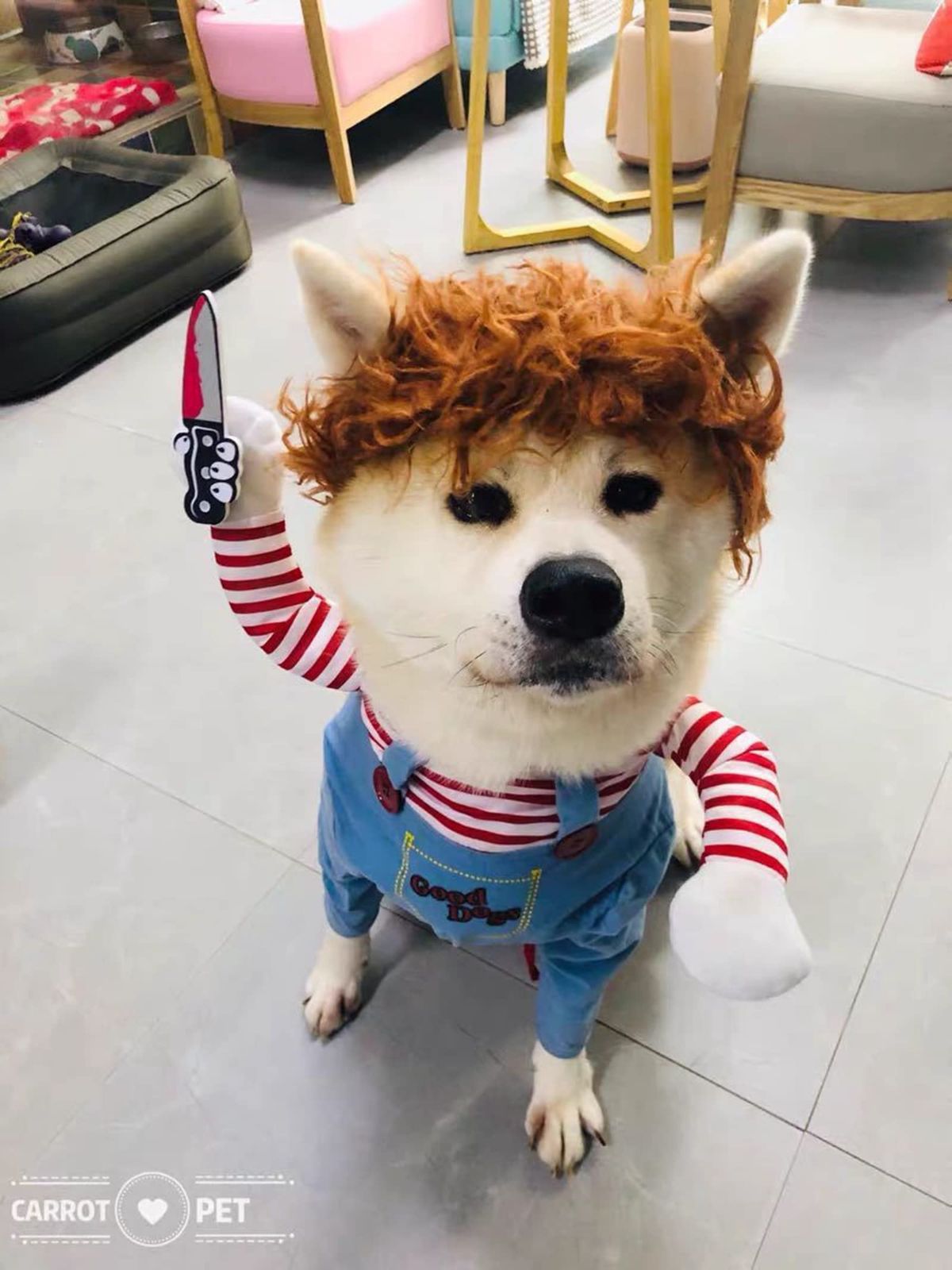 Pet Deadly Doll Dog Costume, Cosplay Halloween Christmas Funny Clothes Party Costume for Small Medium and Large Dogs - Blue - Size L