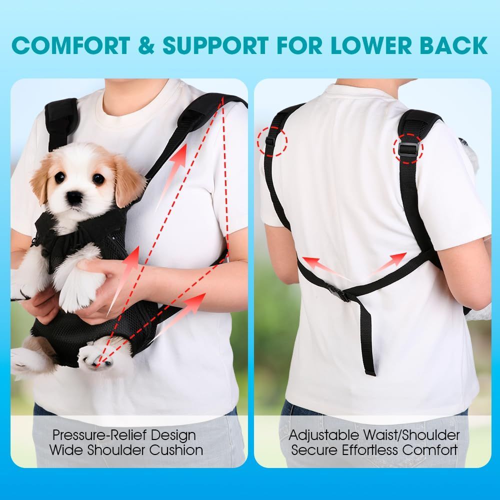 Dog Carrier Backpack Small Dog Carrier Pet Carrier Hands-Free Dog Carrier - Black / XL