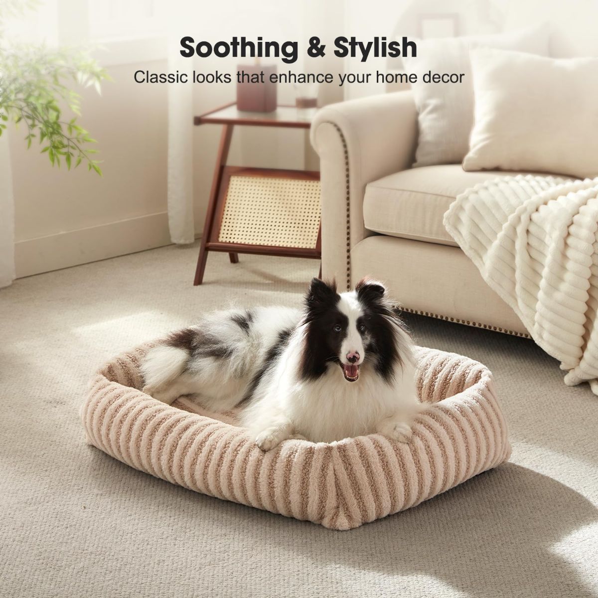 Dog Bed Soft Dog Bed Rabbit Velvet Dog Bed Teddy Fabric Dog Bed Cozy Dog Bed - Beige - Size 20in*19in