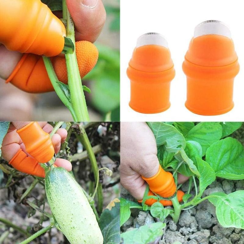 2-Piece Fruit Picking Tool Set for Home Gardens & Small-Scale Farms-Blue+Orange