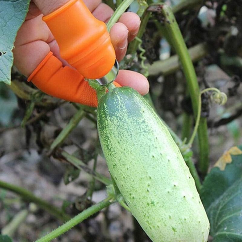 2-Piece Fruit Picking Tool Set for Home Gardens & Small-Scale Farms-Blue+Orange