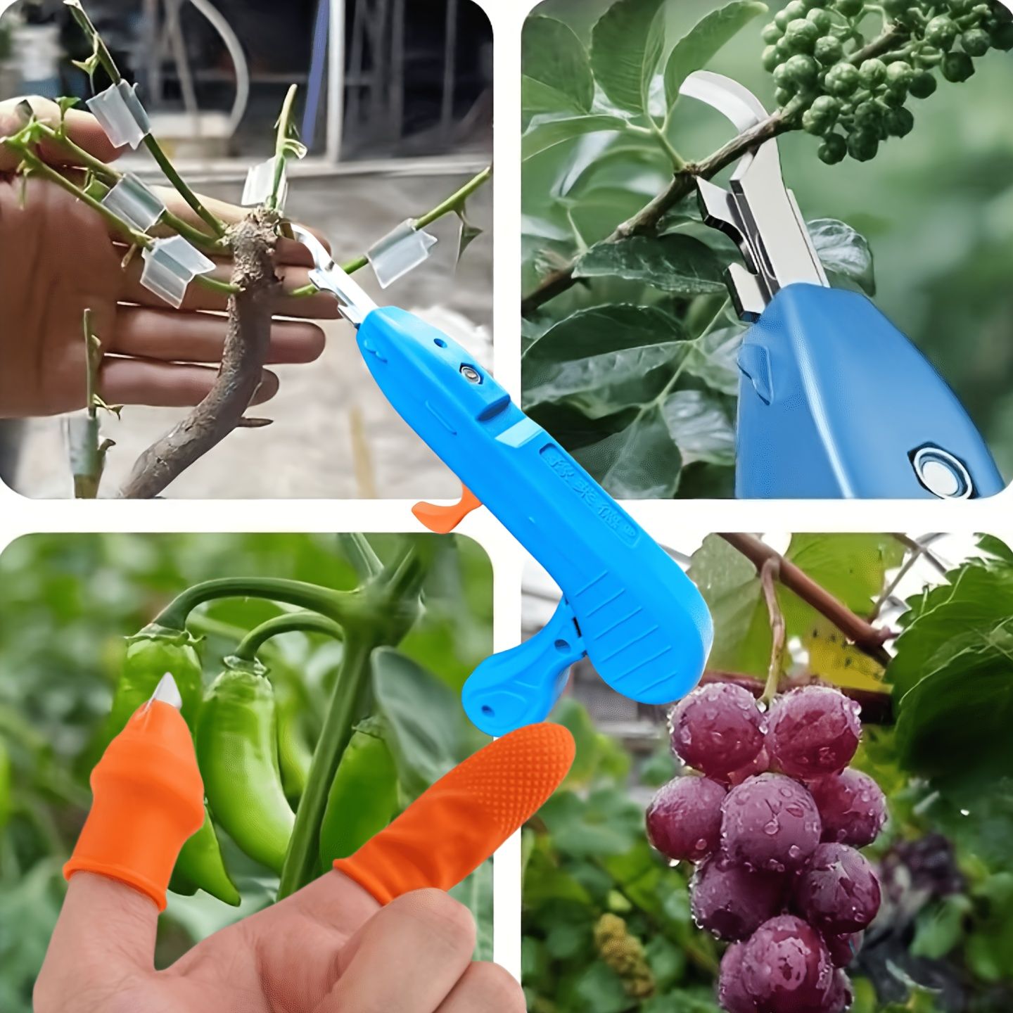 2-Piece Fruit Picking Tool Set for Home Gardens & Small-Scale Farms-Blue+Orange