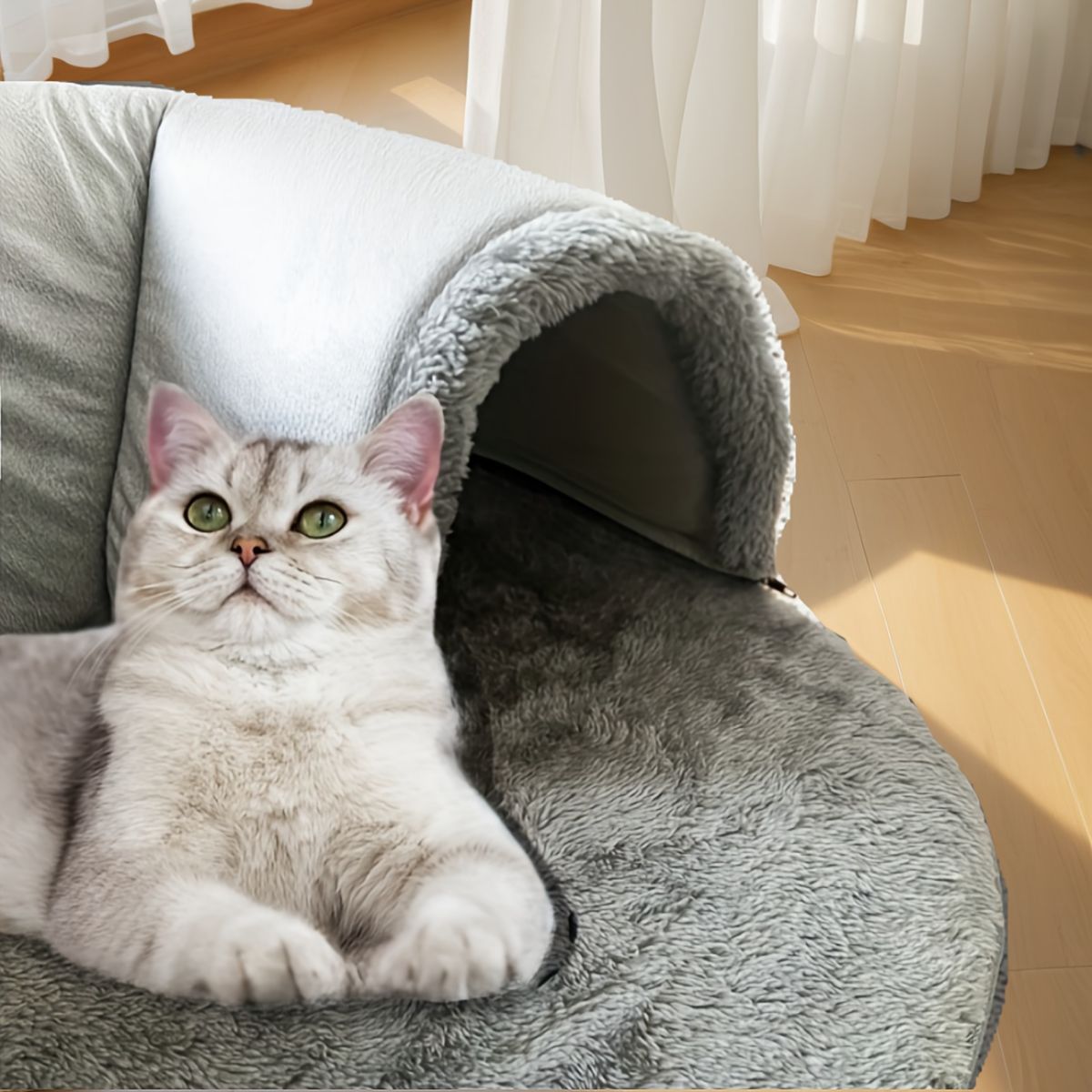 Cat Bed Cat Furniture Cat Tunnels Cat Toy Cat Comfort Cat Entertainment