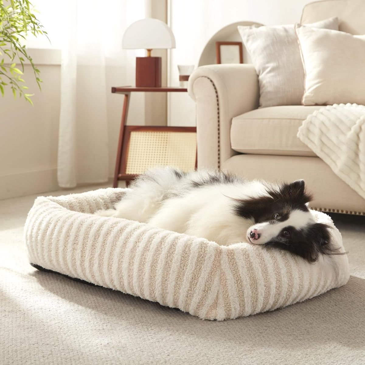 Dog Bed Soft Dog Bed Rabbit Velvet Dog Bed Teddy Fabric Dog Bed Cozy Dog Bed - White - Size 36in*27in