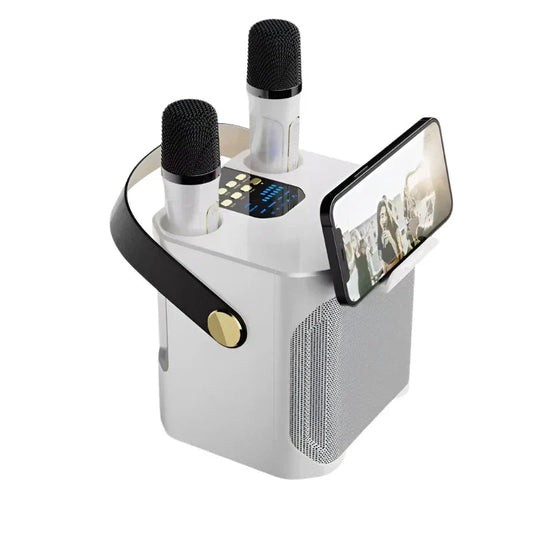 High Power Karaoke Bluetooth Speaker With Dual Microphone