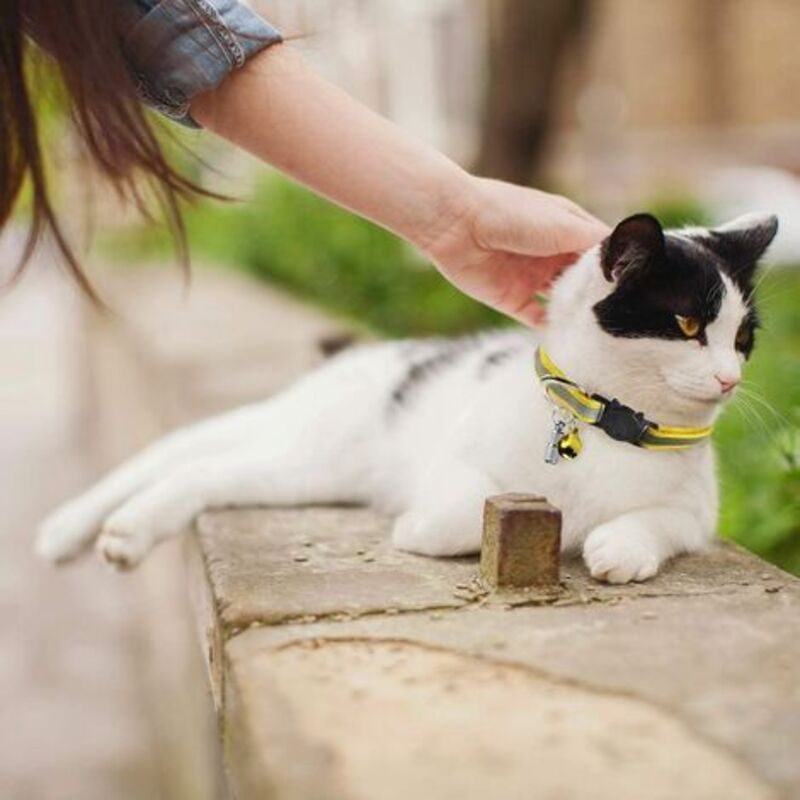 Adjustable Reflective Collars for Cats and Puppies with Bell and Safety Buckle, 6X Multicolor Pet Accessories
