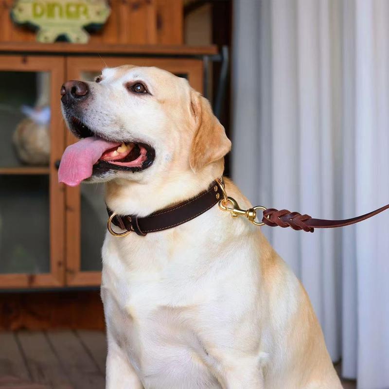 Premium Genuine Leather Dog Collar/Durable Real Leather Adjustable Collars For Male Female （size: L）