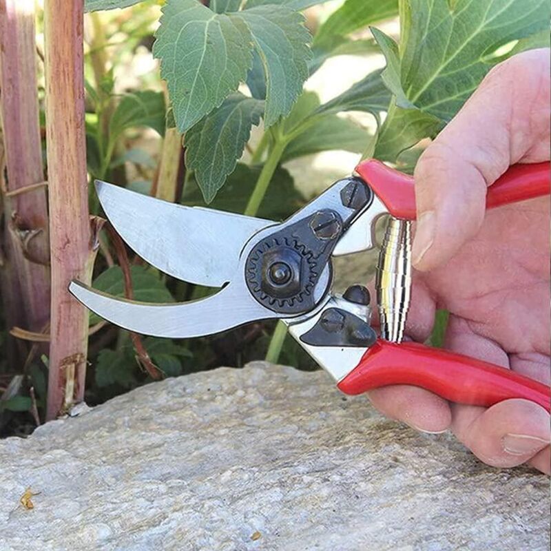 Volute Pruner Springs, Replacement Volute Spring, Stainless Steel Garden Pruner Spring Parts, Replacement Springs