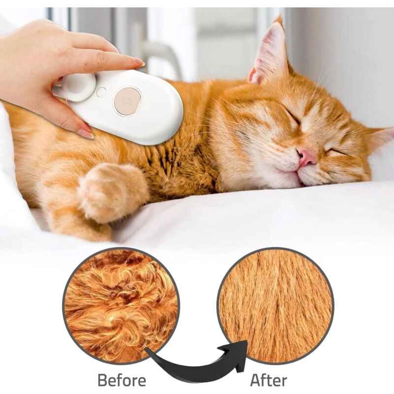 Electric Steam Brush For Dogs And Cats: Coat Care, Detangling, Relaxing Massage, Home Hygiene, Tangle Removal, Home