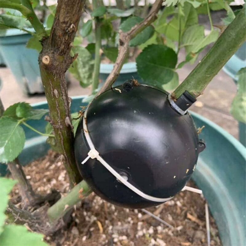 Plant ROoting Device Plant ROot Ball Plant ROoting Ball,Plant ROot Grafting Box For ROses,Trees,Fruit Shrubs