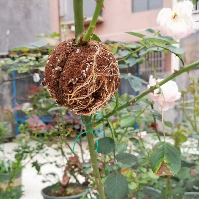 Plant ROoting Device Plant ROot Ball Plant ROoting Ball,Plant ROot Grafting Box For ROses,Trees,Fruit Shrubs