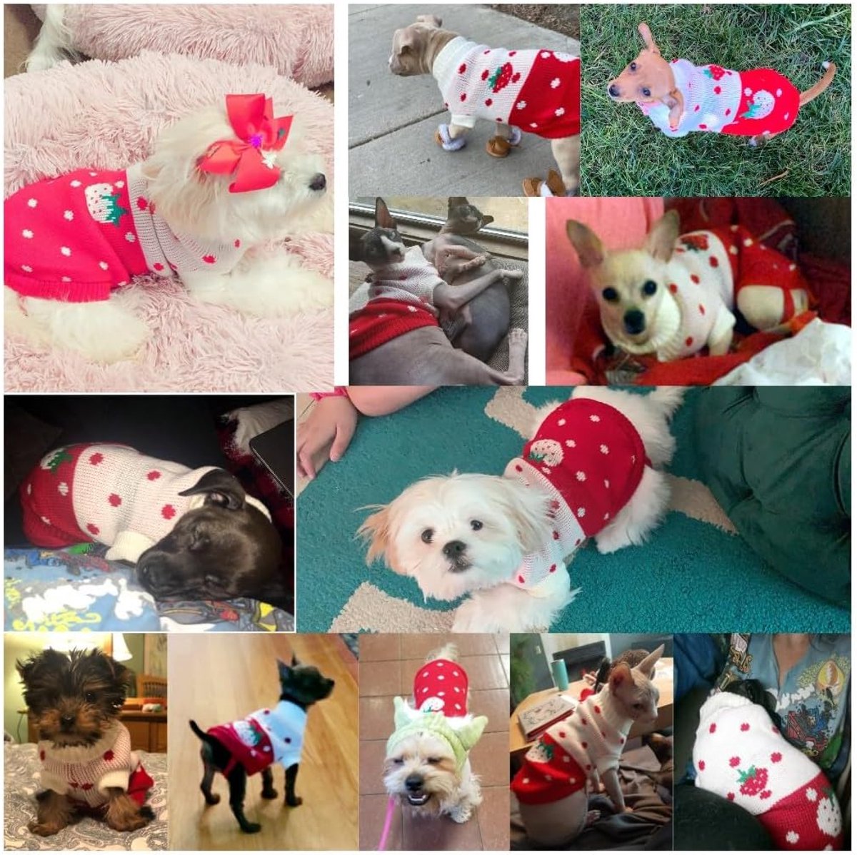Dog Coat - Dog Sweater - Classic Turtleneck Knit Dog Sweater - Warm Winter Dog Clothes - Cute Strawberry Heart Pattern - Perfect for Small and Medium Dogs - Red - Size L