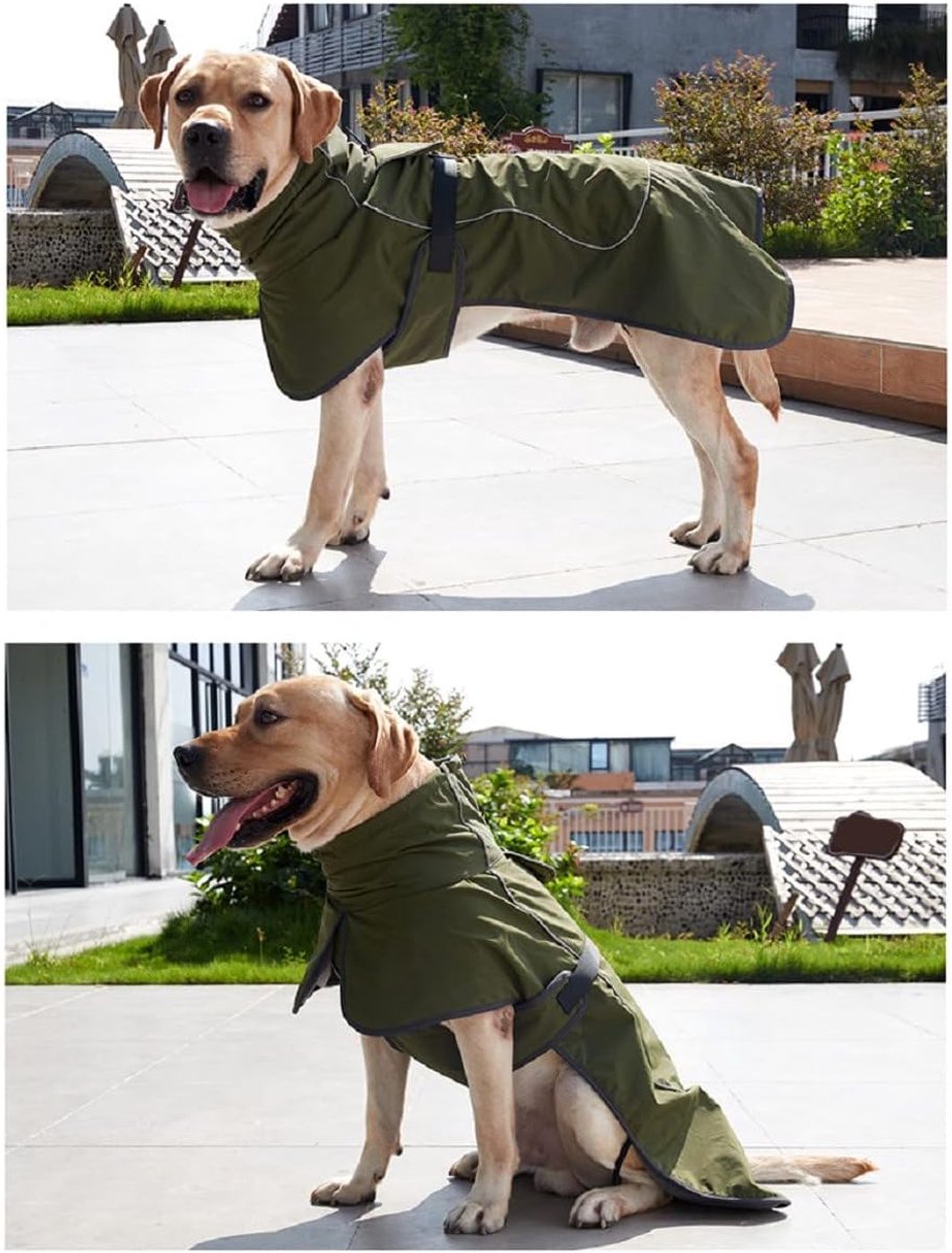 Dog Raincoat - Dog Jacket - Waterproof Winter Dog Coat - Windproof Dog Coat - Winter Dog Coat - Reflective Strip - Green - Size XL - Perfect for Medium-Sized Dogs