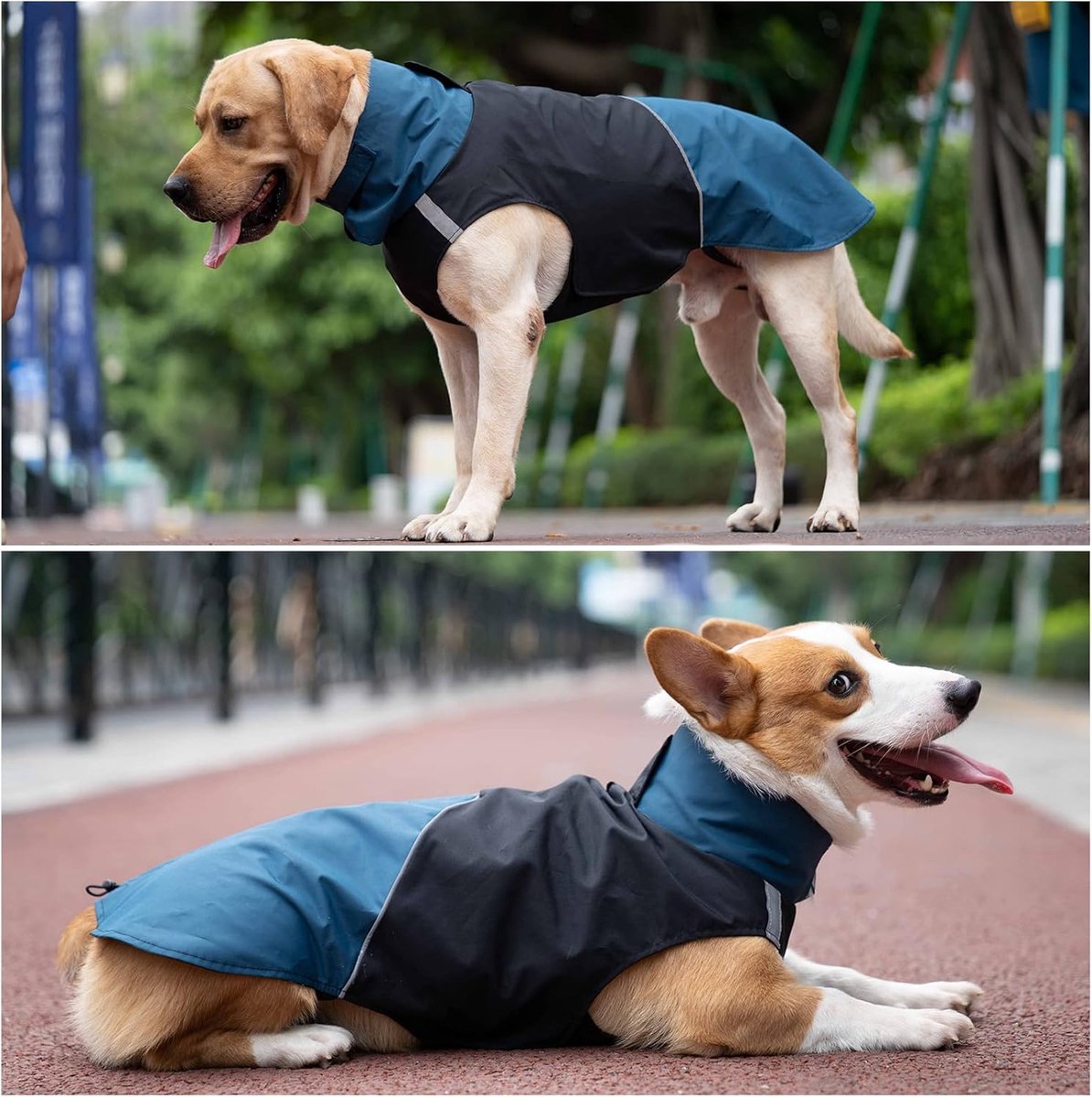 Dog Raincoat - Dog Jacket - Waterproof Winter Dog Jackets - Windproof Dog Jacket - Winter Dog Jacket - Reflective Strip - Perfect for Small Dogs - Medium-Sized Dogs - Blue and Black - Size XL