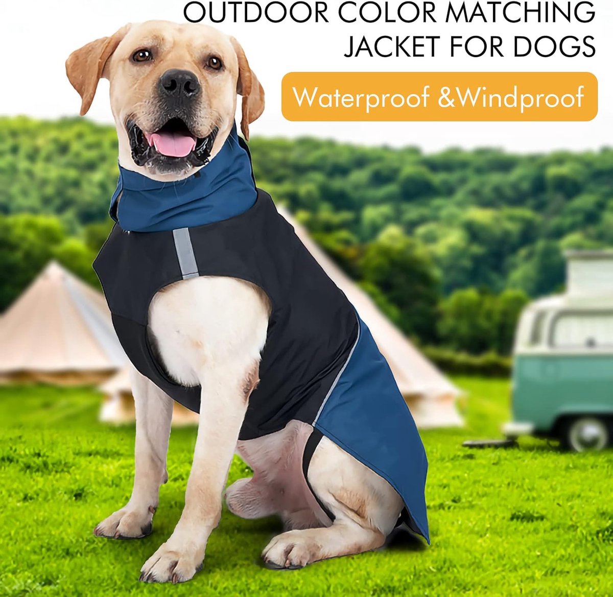 Dog Raincoat - Dog Jacket - Waterproof Winter Dog Jackets - Windproof Dog Jacket - Winter Dog Jacket - Reflective Strip - Perfect for Small Dogs - Medium-Sized Dogs - Blue and Black - Size M