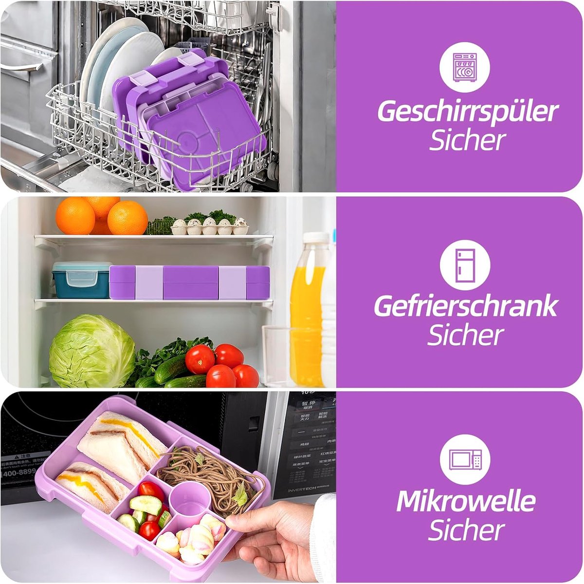 Kids Bento Lunch Box with 6 compartments for School, Kindergarten and Outdoors, Leakproof, Dishwasher Safe, BPA Free (purple)