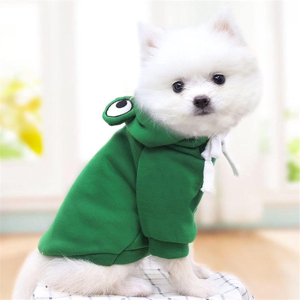 Dog Coat - Warm Winter Dog Clothes - Cute Frog Dog Coat - Hooded Sweatshirt - Warm Dog Coat - Fleece Dog Clothes - Perfect for French Bulldogs - Chihuahuas - Green - Size L
