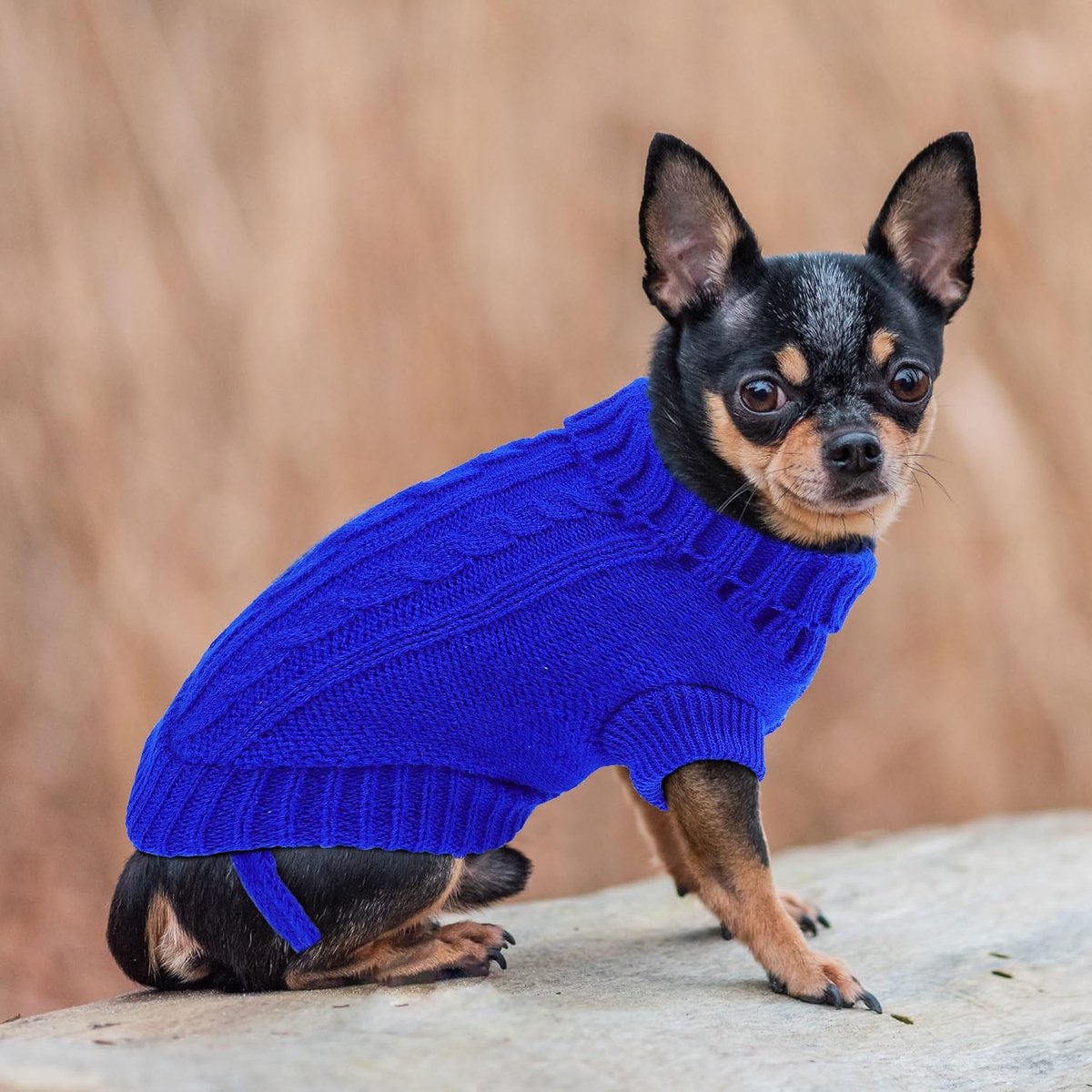 Dog Coat - Dog Sweater - Small Dog Sweater - Warm Dog Coat - Warm Puppy Sweater - Thick Knit Winter Sweater - Soft Roll Neck Sweater - Perfect for Small Dogs and Puppies - Christmas - XL