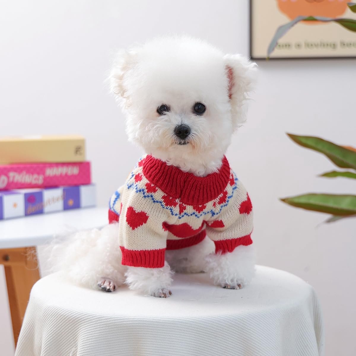 Dog Coat - Dog Sweater - Warm Winter Dog Clothes - Knit Sweater - Dog Pullover - Lightweight and Warm Cat Sweater - Perfect for Chihuahuas - Birthday Clothes - Christmas Decorations - Christmas - Size XL