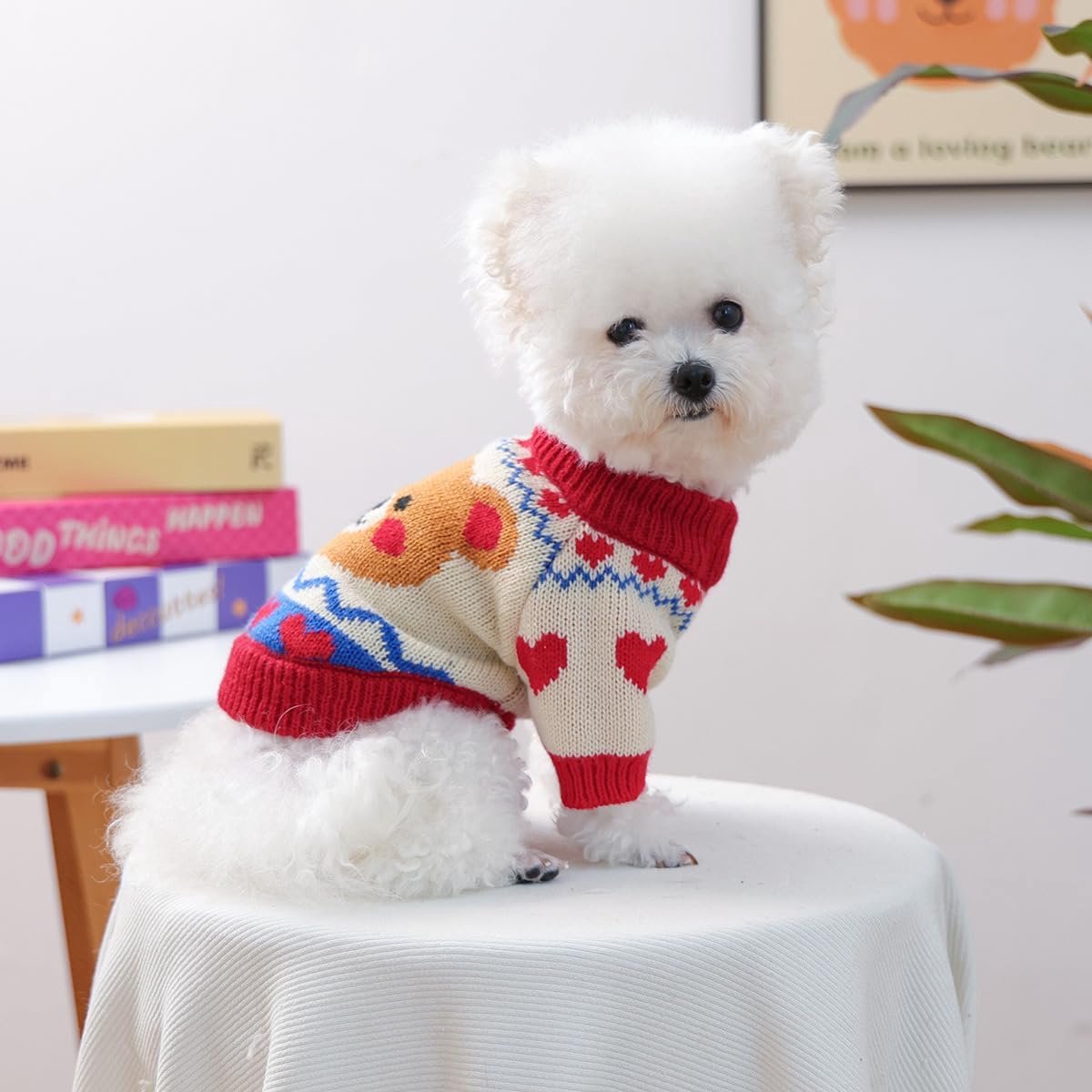 Dog Coat - Dog Sweater - Warm Winter Dog Clothes - Knit Sweater - Dog Pullover - Lightweight and Warm Cat Sweater - Perfect for Chihuahuas - Birthday Clothes - Christmas Decorations - Christmas - Size M