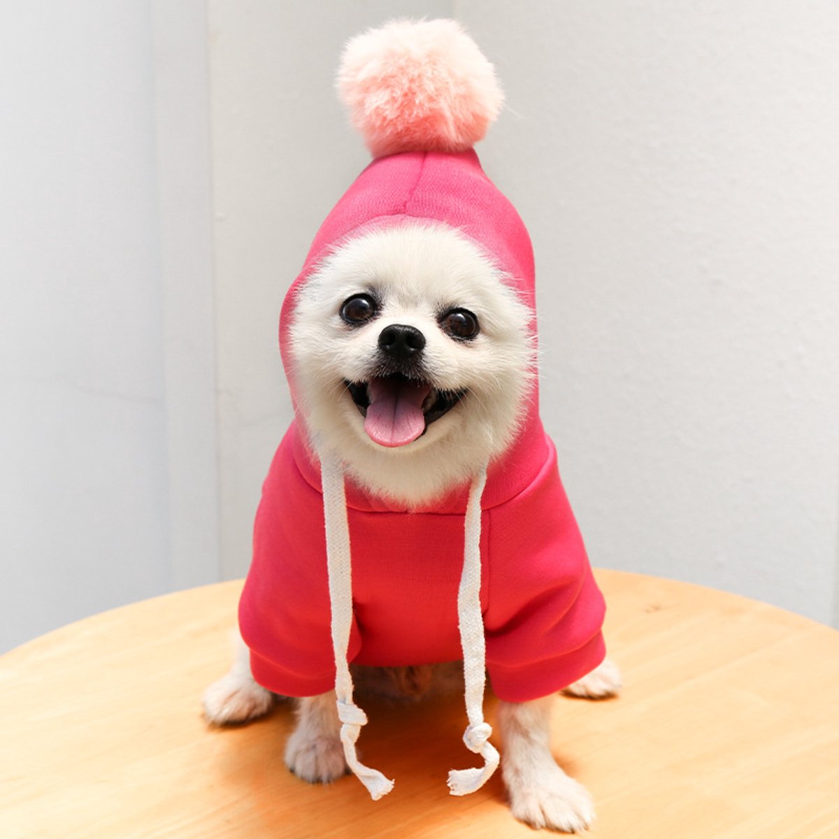 Dog Coat - Cute Fruit Pattern Coat - Warm Dog Coat - Hooded Sweatshirt - Fleece Dog Clothes - Perfect for French Bulldog - Chihuahua - Rose Red - XL - Party Decoration
