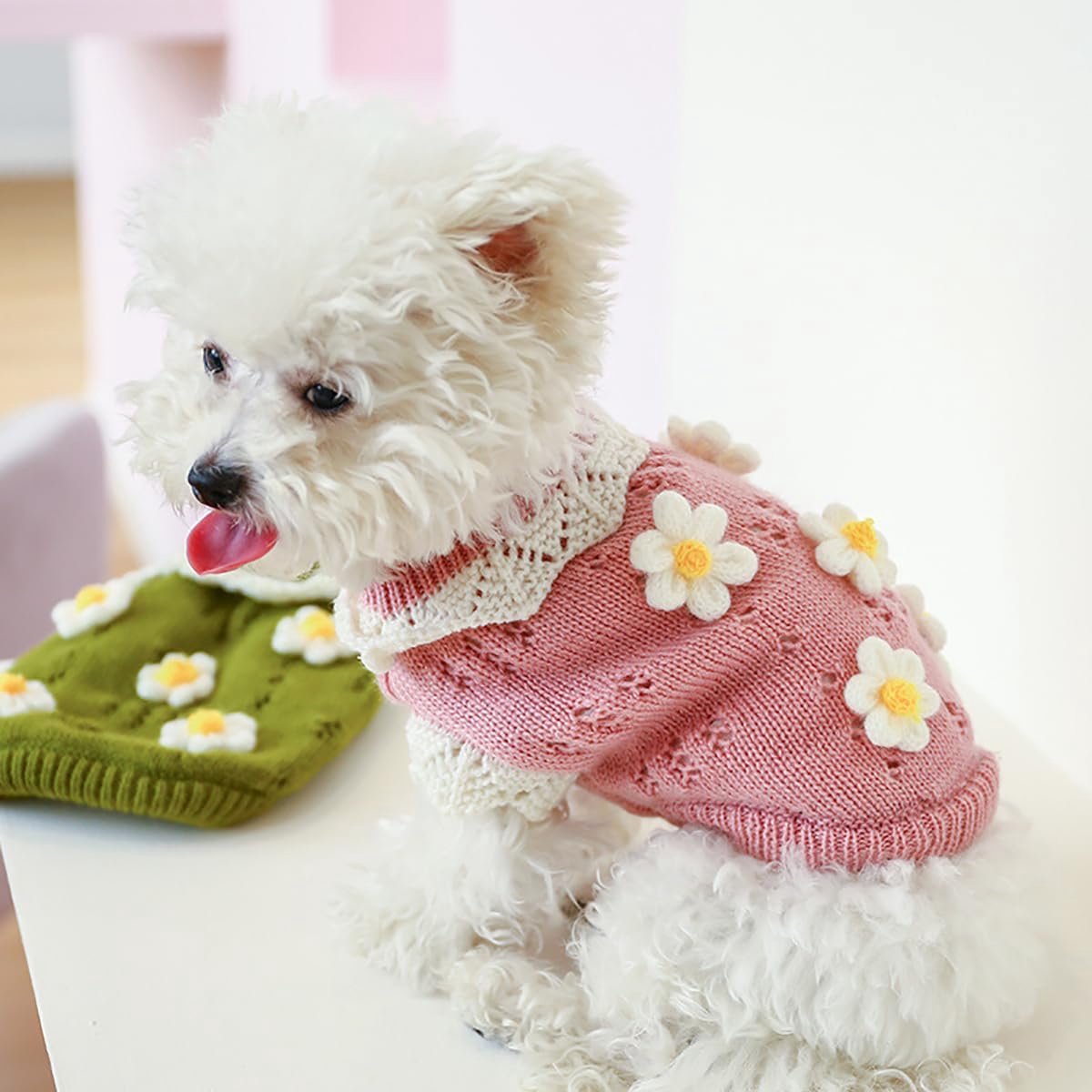 Dog Coat - Dog Sweater - Sweater for Small Dogs - Cute Floral Sweater for Girls - Winter Knitted Sweater - Lightweight and Warm Cat Sweater - Birthday, Party, Party Decoration, Christmas - Size M