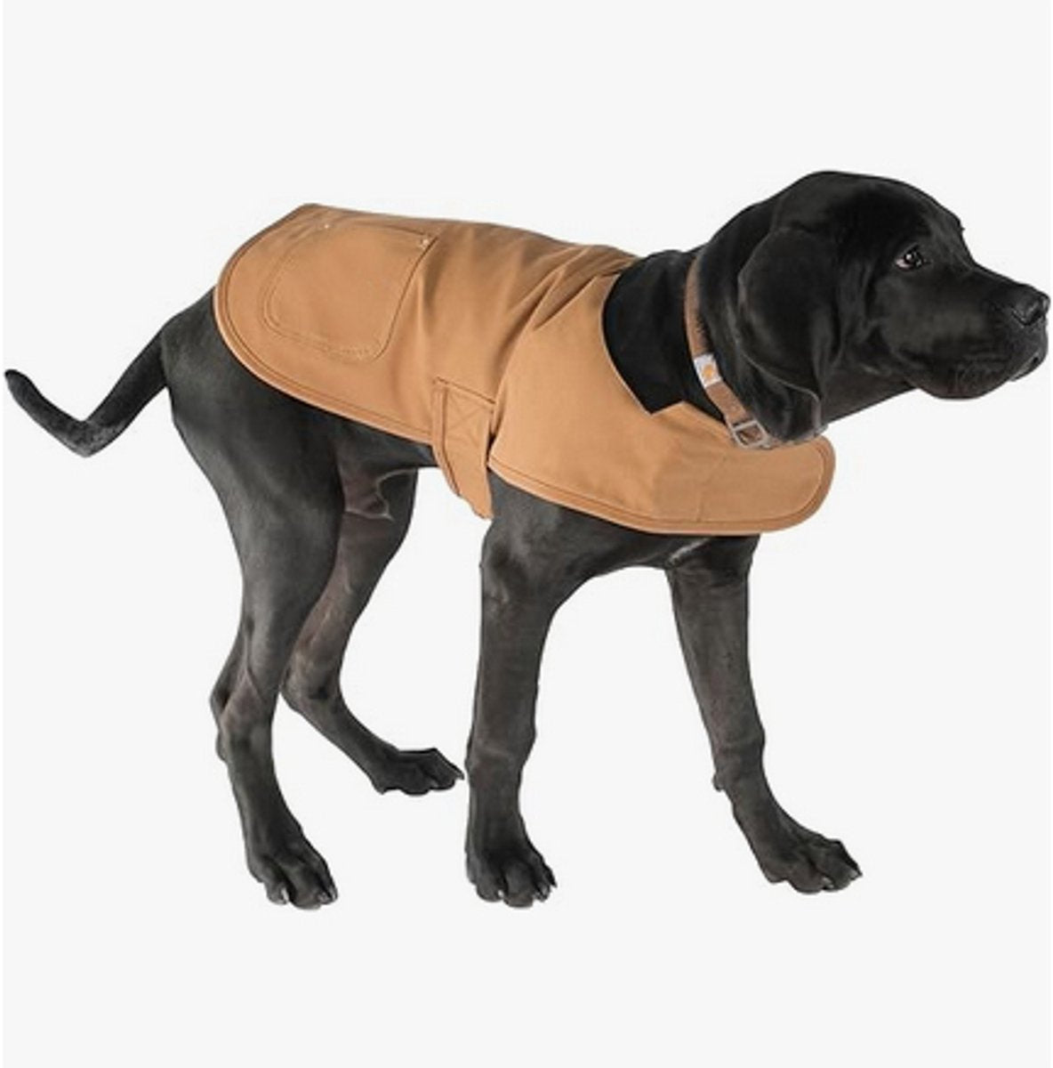 Dog Coat - Dog Overalls - Warm Dog Coat - Synthetic Dog Coat - Perfect for Cold Weather - Windy Weather - Pet Clothing - Size M - Warm Clothing - Outerwear - Party Decorations