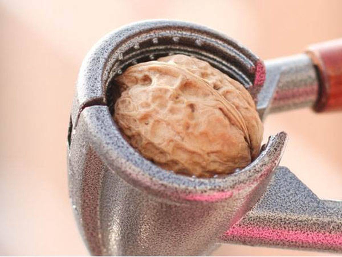TR Goods - Steel nutcracker with wooden handle - Suitable for all nuts, including walnuts, hazelnuts and almonds