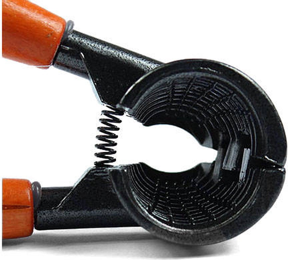 TR Goods - Steel nutcracker with wooden handle - Suitable for all nuts, including walnuts, hazelnuts and almonds