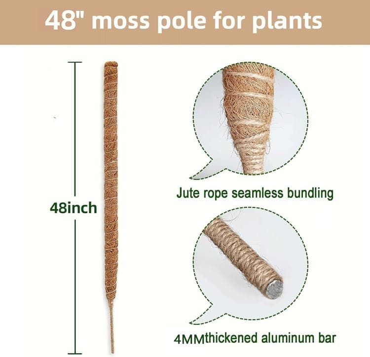 4 Bendable Moss Stakes for Climbing Plants, 100cm, Plant Support for Ivy and Monstera (4mm)