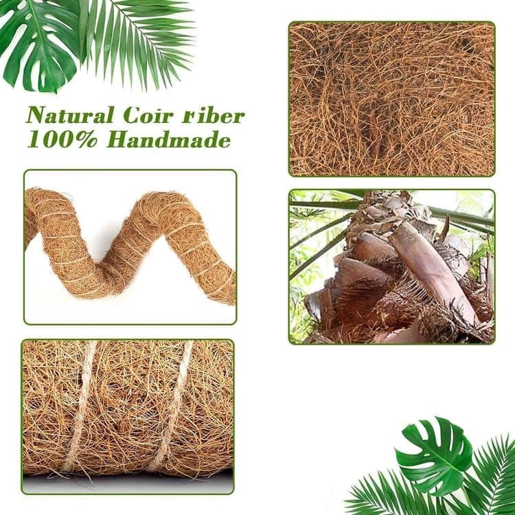 4 Bendable Moss Stakes for Climbing Plants, 100cm, Plant Support for Ivy and Monstera (4mm)