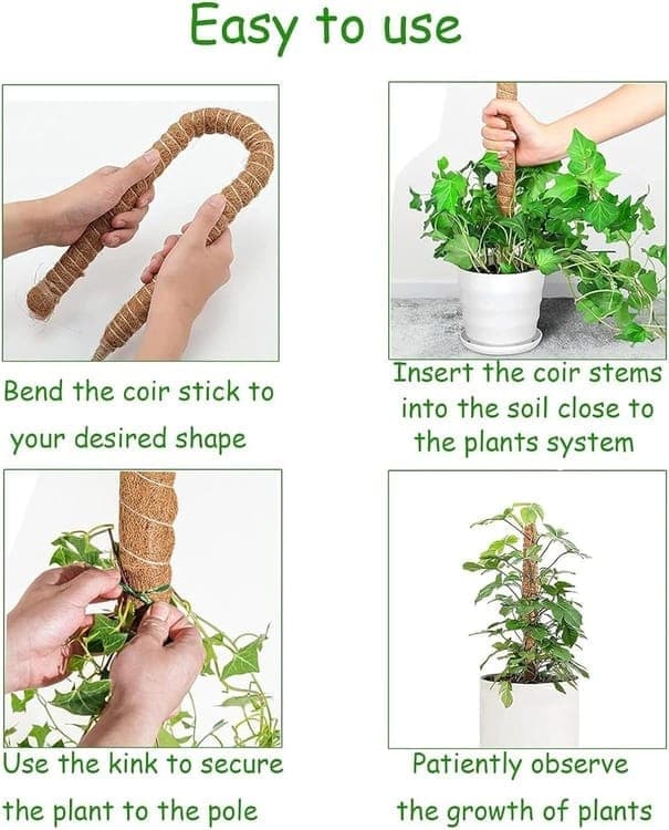 4 Bendable Moss Stakes for Climbing Plants, 100cm, Plant Support for Ivy and Monstera (4mm)