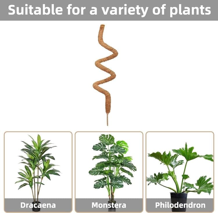4 Bendable Moss Stakes for Climbing Plants, 100cm, Plant Support for Ivy and Monstera (4mm)