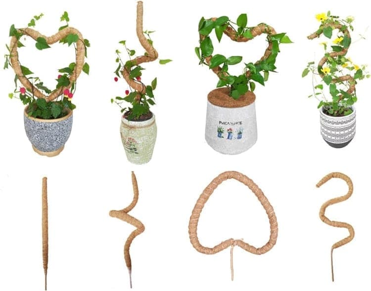 4 Bendable Moss Stakes for Climbing Plants, 100cm, Plant Support for Ivy and Monstera (4mm)