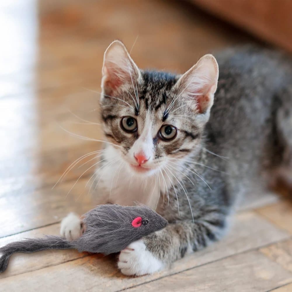 Cat Toy with Mouse and Feather, Hanging Door Toy for Indoor Cats, Stimulating Play
