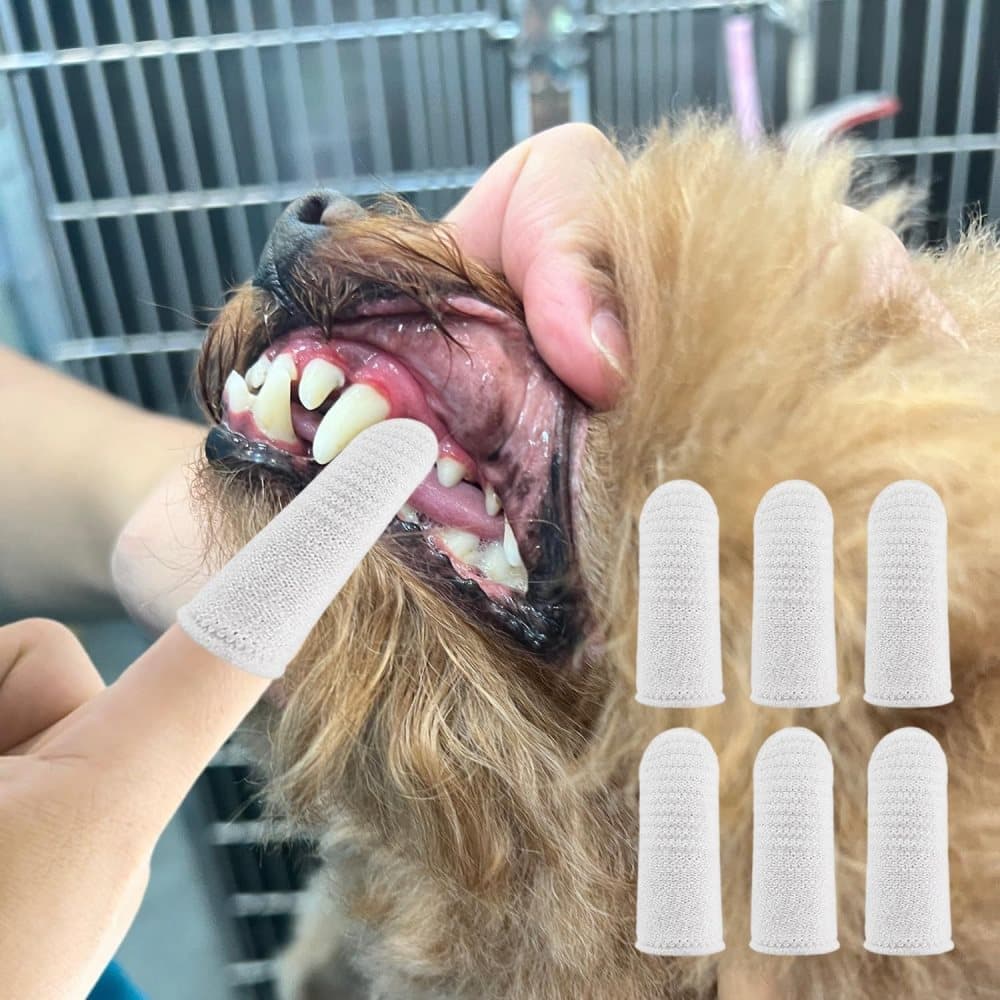 20 Pack Pet Finger Brush for Dogs and Cats, Gentle Teeth Cleaning, Reusable, Compatible with Oral-B