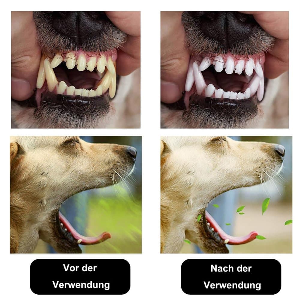 20 Pack Pet Finger Brush for Dogs and Cats, Gentle Teeth Cleaning, Reusable, Compatible with Oral-B