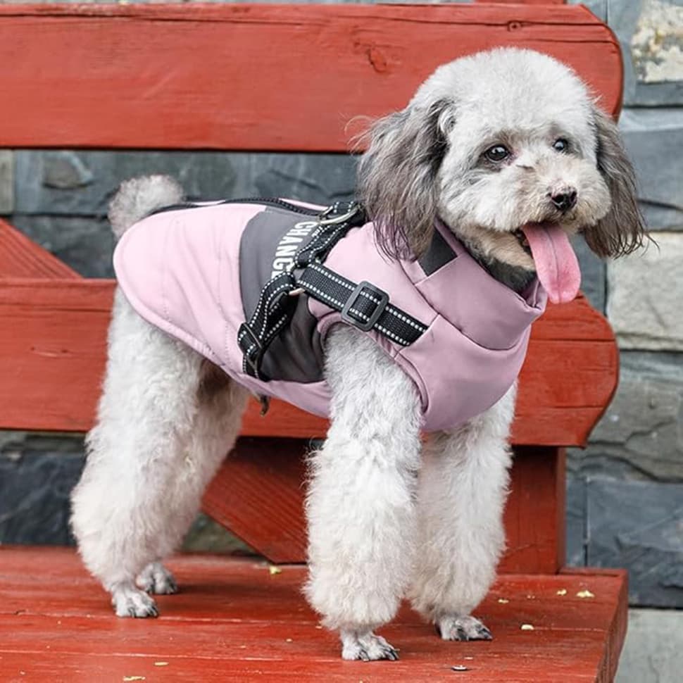 Warm Soft Winter Dog Vest Jacket with Stand Collar, Wind and Waterproof, Multiple Colors for Small Medium Large Dogs, XXL, Pink
