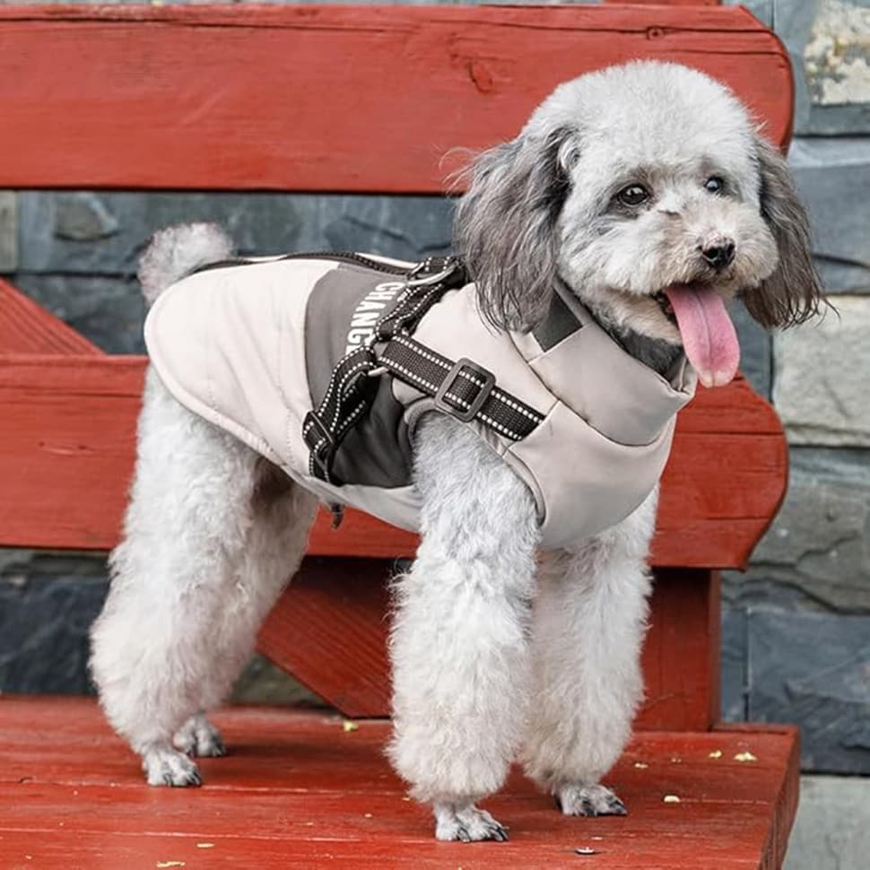 1 Warm Winter Dog Vest with Stand Collar, Wind and Waterproof, S M L XL, Beige